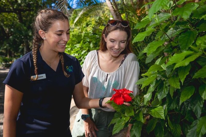Best of Fitzroy Island Day Tour - Service and Timing: What to Expect on the Day