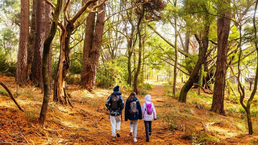 Best of Melbourne: Private Walking Tour with a Local - Royal Botanic Gardens: a reset that still feels local