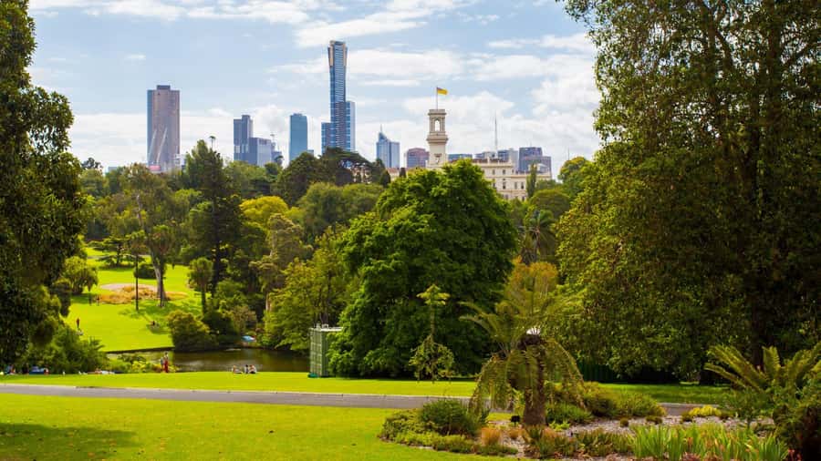 Best of Melbourne: Private Walking Tour with a Local - The main trade-offs: local resident guide vs deep history