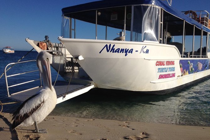 Best of Ningaloo Mantas and More - How the schedule stays enjoyable during a full 7 hours