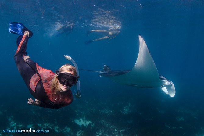 Best of Ningaloo Mantas and More - Price and value: is $251.04 per person worth it?