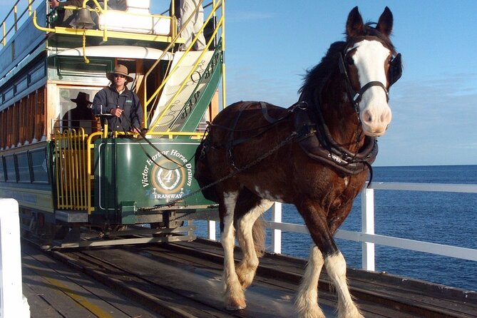 Best of SA, Hahndorf , Victor Harbor & d'arenberg 'Cube' Tour - Key Things to Know Before You Go