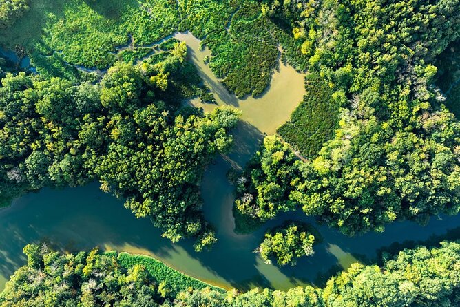 Beyond the Range - 30 minute Rainforest Scenic Flight - Should You Book Beyond the Range?