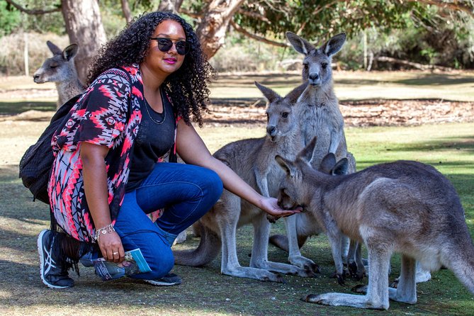 BIG 3 Tasmania - Port Arthur, Wineglass Bay, Cradle Mountain - Day 3: Sheffield’s murals, Cradle Mountain’s Dove Lake hike, then Christmas Hills treats