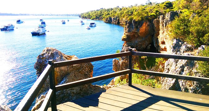 Big Perth City Private Day Tours - Point Walter Reserve: sandbar fun on the Swan River