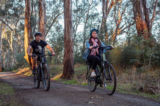 Bike to Winery Tour - Price ($60.97) and value: when this tour makes sense
