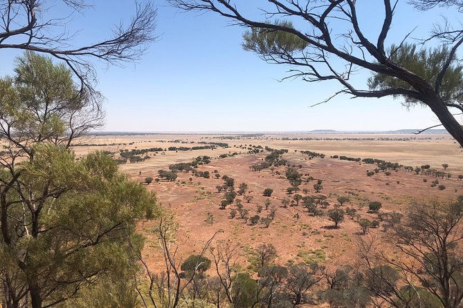 Bladensburg National Park Half Day Tour - Should you book this Bladensburg half-day tour?