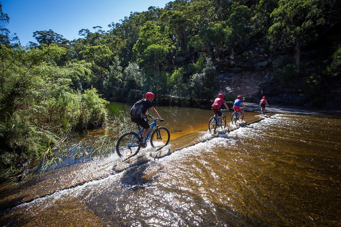 Blue Labyrinth PRIVATE Tour: Sydney Blue Mountains by E-Bike - Who this tour fits best (and who should skip it)