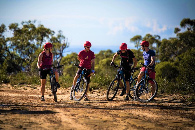 Blue Labyrinth PRIVATE Tour: Sydney Blue Mountains by E-Bike - Starting in Glenbrook at 8:30am: timing that helps your views