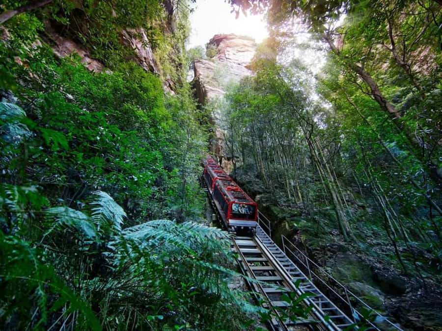 Blue Mountain Tour + Hop-on-Hop-off Big Bus Discover Ticket - Leura Village and Echo Point: Where You Get the Views, Fast