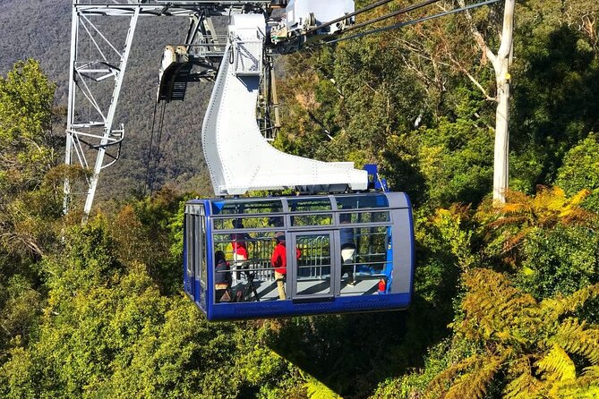Blue Mountain Tour with Hop on and Hop Off Bus - The Big Bus part: 24 hours to hit Sydney’s icons your way