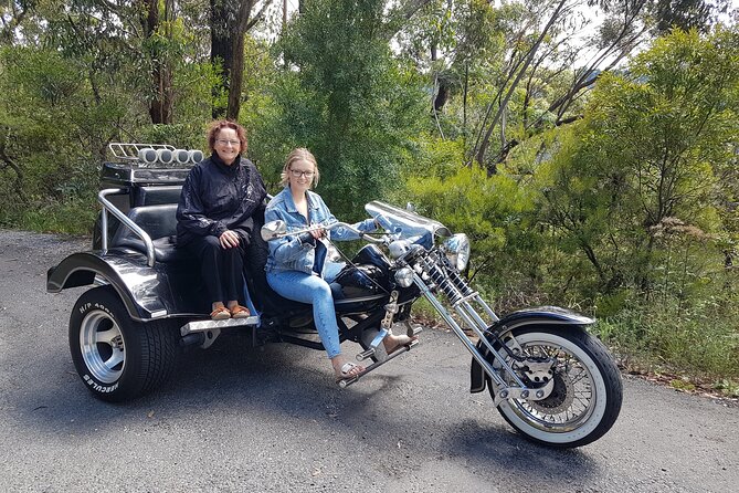 Blue Mountains 1-Hour Trike Tour of Three Sisters - Picking your departure: morning or afternoon timing