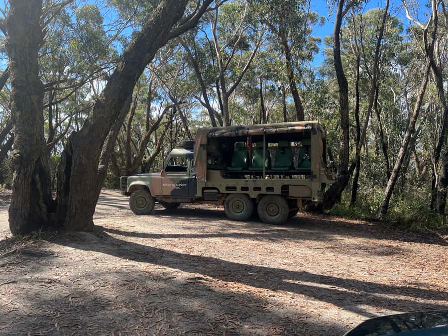 Blue Mountains 3 Hour Army Truck Adventures - What the ex-army Land Rover experience really changes