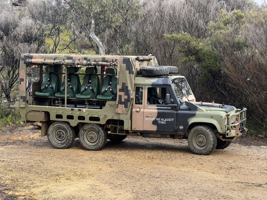 Blue Mountains 3 Hour Army Truck Adventures - Katoomba: where the views set the tone