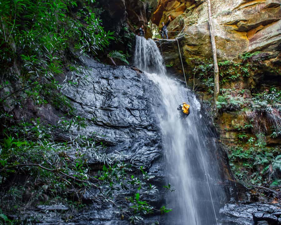 Blue Mountains: Abseiling and Canyoning Experience - Price and value: what $244 buys (and what it costs you in effort)