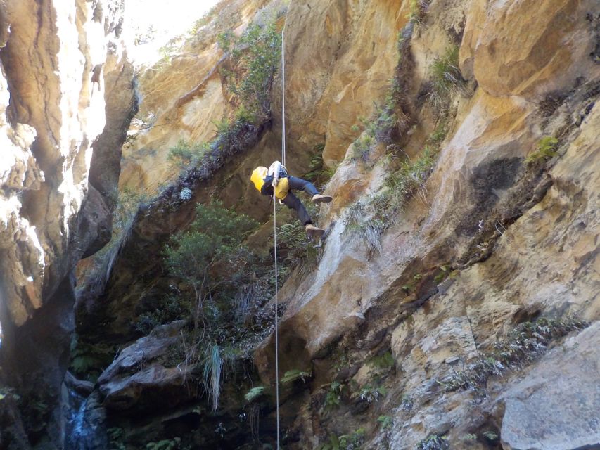 Blue Mountains: Abseiling and Canyoning Experience - What to bring (and what to avoid) for a wet, rope-heavy day