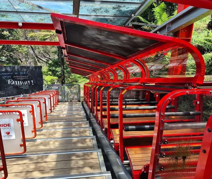 Blue Mountains Adventure: Wild Boar Rock & Cable Car - Key Things That Make This Blue Mountains Trip Click