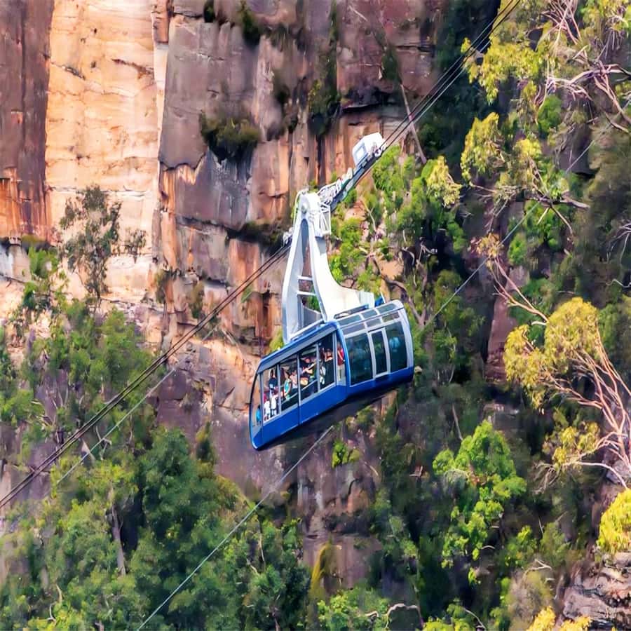 Blue Mountains Adventure: Wild Boar Rock & Cable Car - Getting From Downtown Sydney to Scenic World Without the Stress