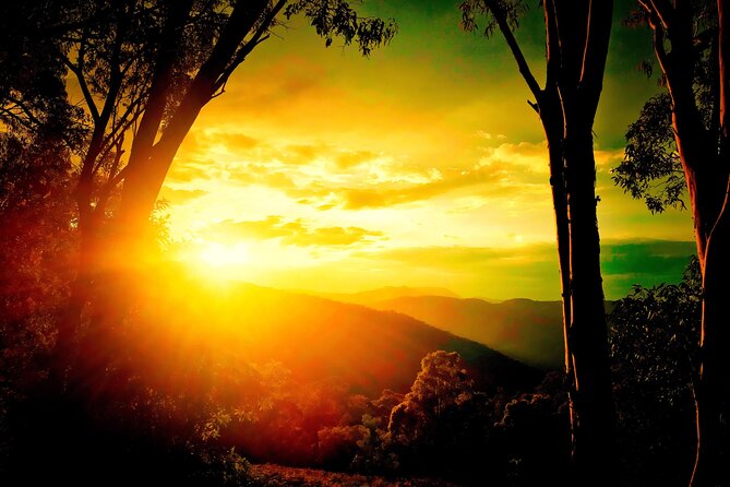 Blue Mountains Day, Sunset Tour & Glow Worms Night Adventure - Key things to know before you go