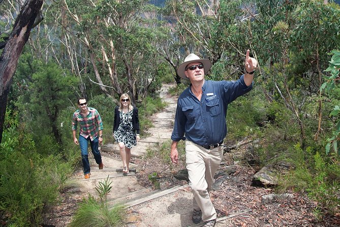 Blue Mountains Day Tour With Bushwalks, Waterfalls & Featherdale - A Quick Reality Check: Timing, Pace, and Fitness Level
