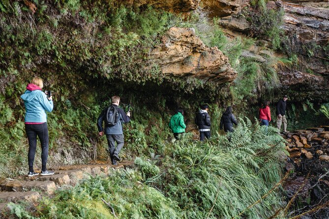 Blue Mountains Day Tour With Bushwalks, Waterfalls & Featherdale - Katoomba or Leura Lunch Break: Local Town Time Without the Crowds Rush