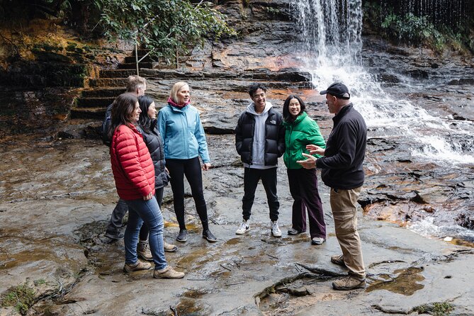 Blue Mountains Day Tour With Bushwalks, Waterfalls & Featherdale - Scenic Lookouts and Crowd-Avoiding Planning That Actually Helps