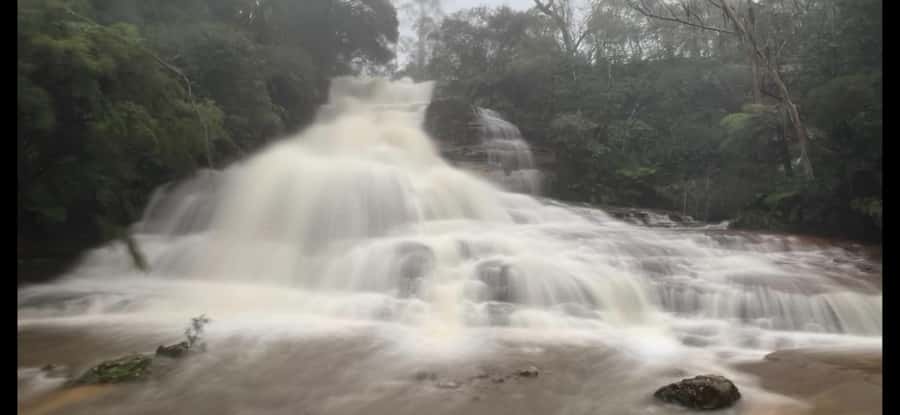 Blue Mountains day tour with Cruise, Scenic world pass & Zoo - Key highlights you’ll actually feel