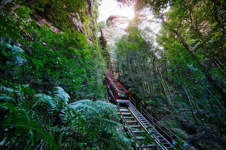 Blue Mountains day tour with Cruise, Scenic world pass & Zoo - Blue Mountains lookouts and an easy bushwalk with real variety