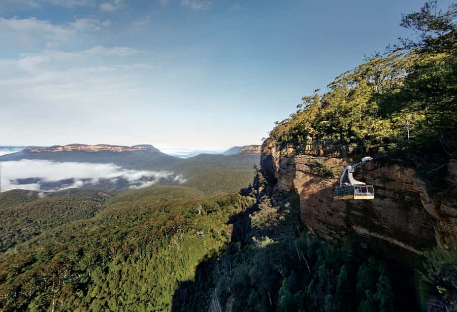 Blue Mountains day tour with Cruise, Scenic world pass & Zoo - Price and value: why $134 can make sense here