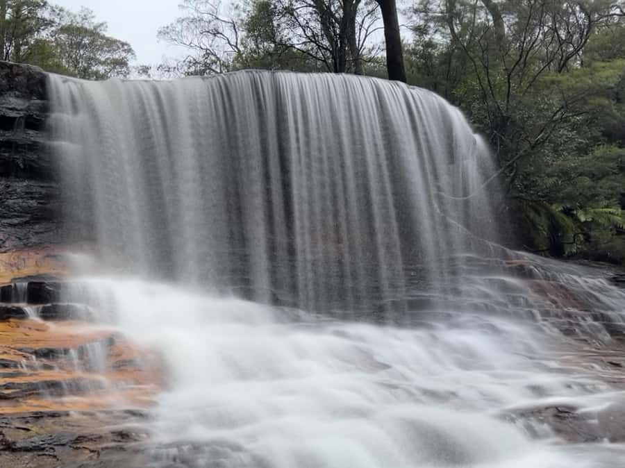 Blue Mountains day tour with Cruise, Scenic world pass & Zoo - From Sydney pickup to early Sydney Zoo: beat the heat and crowds