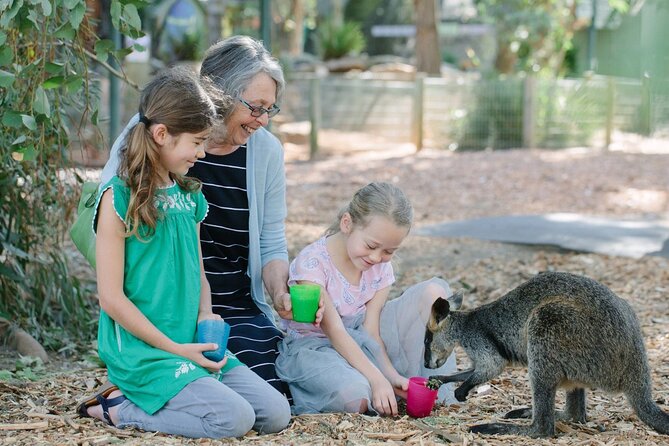 Blue Mountains Day Tour with Scenic World and Wildlife Park Entry - Price and value: what $119.06 covers (and why it can still be fair)