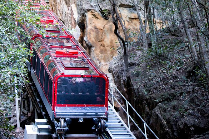 Blue Mountains Day Tour with Wildlife, Walks and Scenic World - The big idea: getting real Blue Mountains variety in one long day
