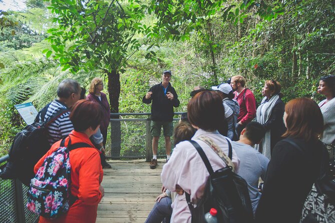 Blue Mountains Day Tour with Wildlife, Walks and Scenic World - Featherdale Wildlife Park: kangaroos and koalas up close (and yes, it’s quick)