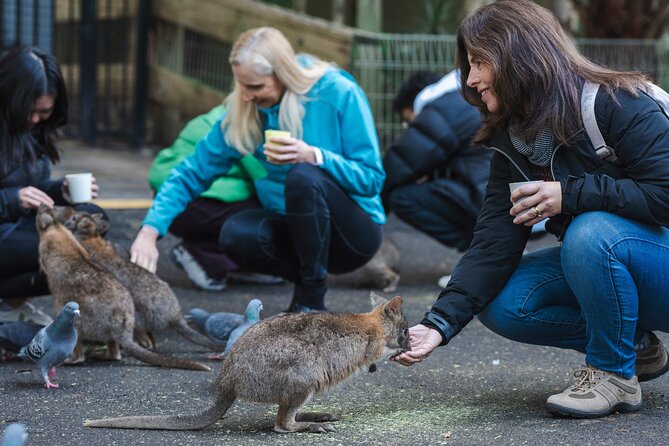 Blue Mountains Day Tour with Wildlife, Walks and Scenic World - Scenic World: the steep railway, the Skyway, and the rainforest boardwalk