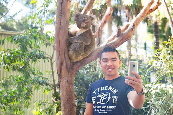 Blue Mountains Day Tour with Wildlife, Walks and Scenic World - How the guides change the whole day