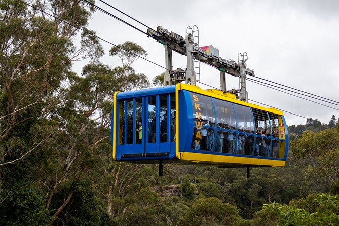 Blue Mountains Day Tour: Zoo, Scenic World & Three Sisters - Comfort, pacing, and group dynamics: the good and the hard parts