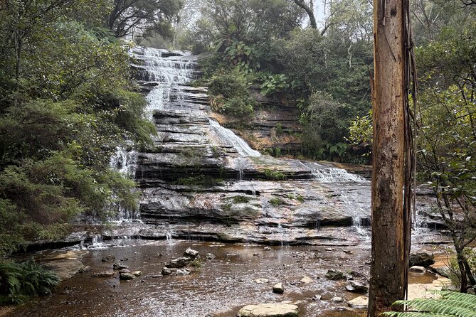 Blue Mountains Day Tours W Scenic World and Lunch - Price and Logistics: Where the $322.76 value actually comes from