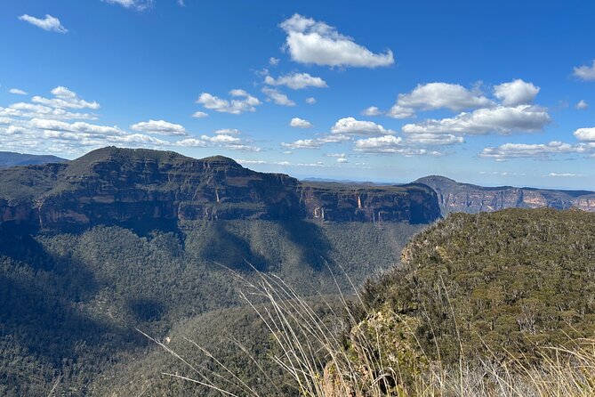 Blue Mountains Full Day Guided Tour - A small group day that starts at Katoomba