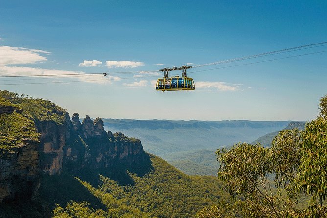 Blue Mountains Highlights, Wildlife Park and Scenic World Full Day Private Tour - Why this Blue Mountains day feels worth the price