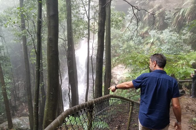 Blue Mountains Highlights, Wildlife Park and Scenic World Full Day Private Tour - Scenic World with unlimited rides: biggest payoff, mixed opinions