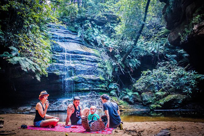 Blue Mountains Hop On Hop Off Tour - Using the guidebook like a local: maps, bush walk tips, and stop-by-stop planning