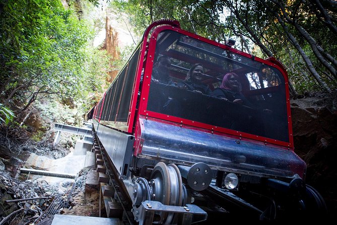 Blue Mountains Hop On Hop Off Tour - Price and value around $323: what you’re really paying for