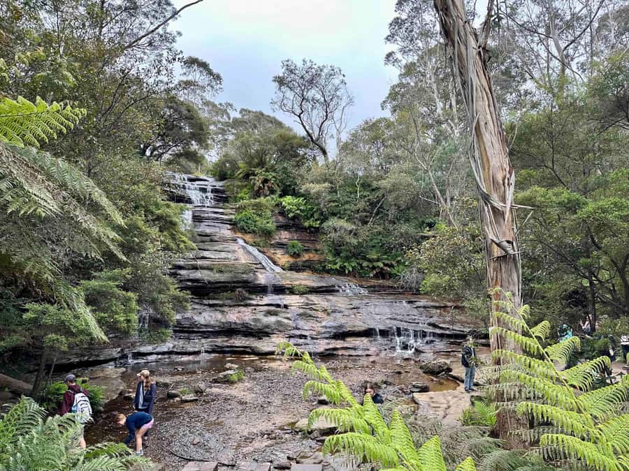Blue Mountains: Inside a World Heritage National Park - Price and value: what $181 buys you (and what it doesn’t)