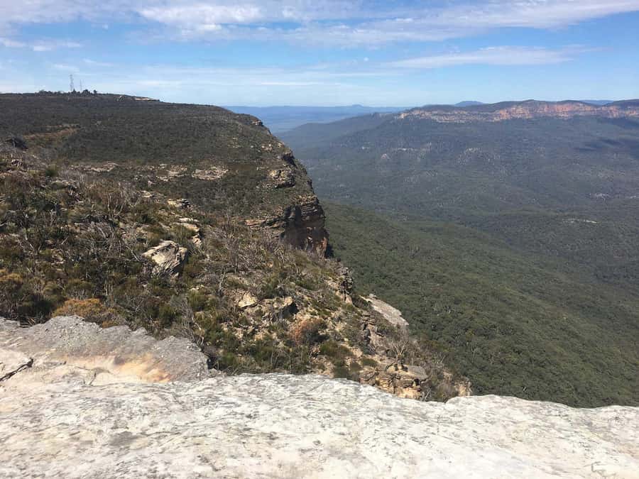 Blue Mountains: Inside a World Heritage National Park - A small-group Blue Mountains day that actually feels paced