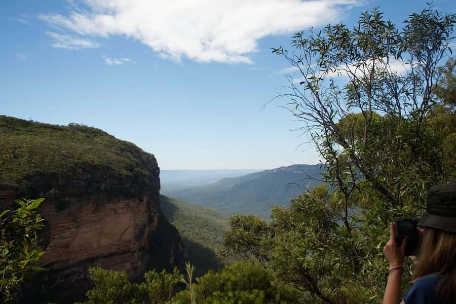 Blue Mountains: Inside a World Heritage National Park - Featherdale Wildlife Park: close-up animal time before the hikes