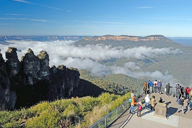 Blue Mountains | Koalas, Kangaroos & Bondi Beach Private Tour - Key Things to Know Before You Go