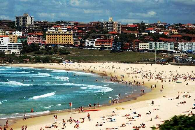Blue Mountains | Koalas, Kangaroos & Bondi Beach Private Tour - A Private Minivan Day Out: Blue Mountains Views Plus Bondi