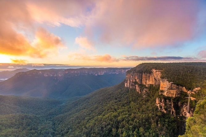Blue Mountains | Koalas, Kangaroos & Bondi Beach Private Tour - Featherdale Sydney Wildlife Park: Your Animal Time Included