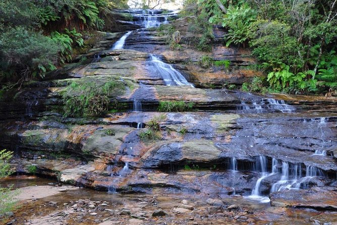 Blue Mountains | Koalas, Kangaroos & Bondi Beach Private Tour - Price and Value: What $555.86 Per Person Buys You