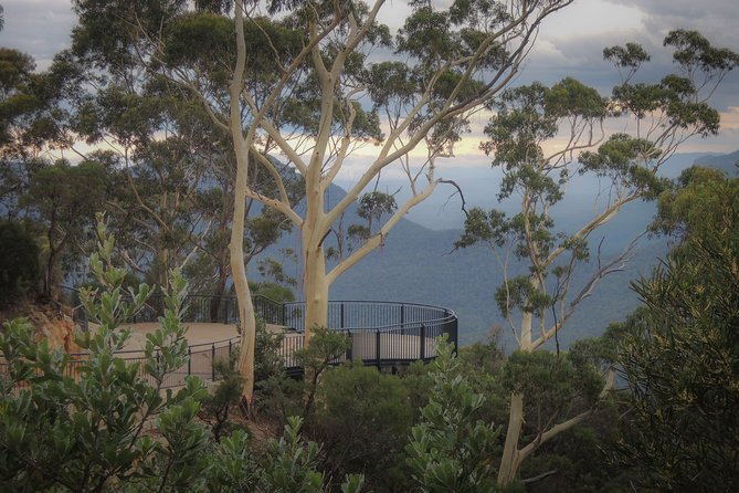 Blue Mountains Private Charter - Why a Private Charter Makes Blue Mountains Day Trip Easier